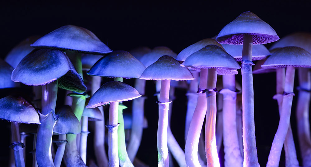 Hallucinogens: Signs of Abuse, Addiction, and Recovery Options