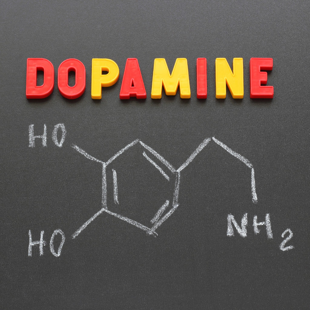 mdma-stimulates-dopamine