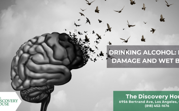 Drinking Alcohol: Brain Damage and Wet Brain