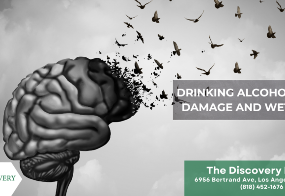 Drinking Alcohol: Brain Damage and Wet Brain